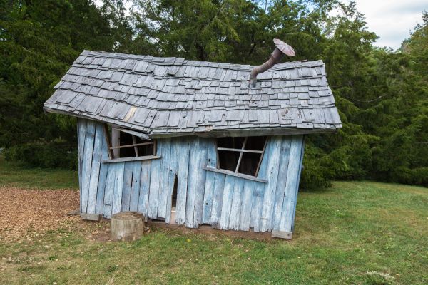 Shed Demolition in Evergreen